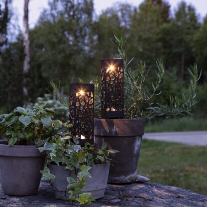 Solcellsdekoration Izola 2-Pack Gångljus