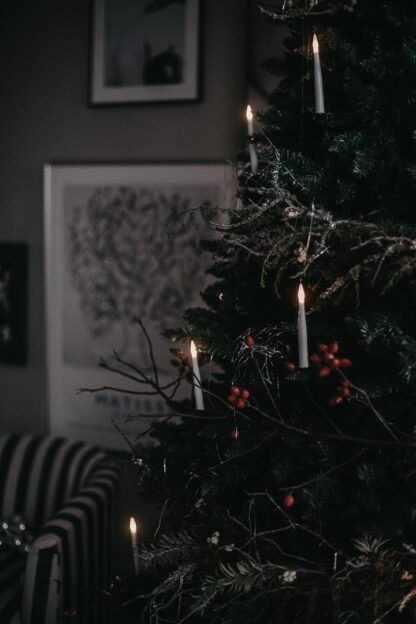 Julgransbelysning Inomhus LED Klar Vit Vaxljus 10L
