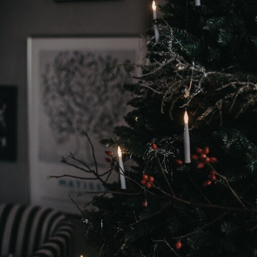 Julgransbelysning Inomhus LED Klar Vit Vaxljus 10L