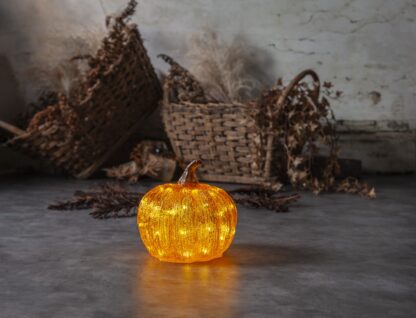 Utomhusdekoration Halloween Pumpa Harvy