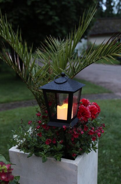 Gravljus Svart LED Sereno