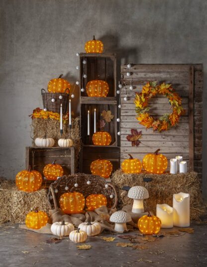 Utomhusdekoration Halloween Pumpa Harvy