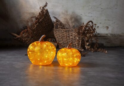 Utomhusdekoration Halloween Pumpa Harvy