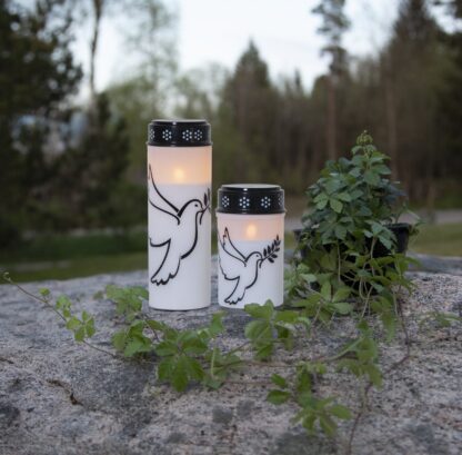 Gravljus Dove LED