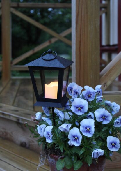 Gravljus Svart LED Sereno