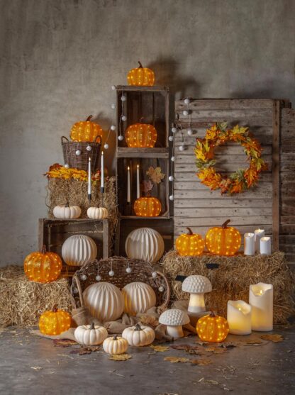 Utomhusdekoration Halloween Pumpa Harvy