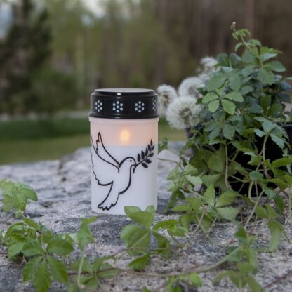 Gravljus Dove LED
