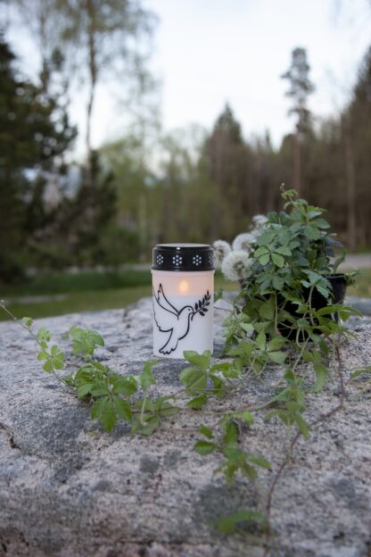 Gravljus Dove LED